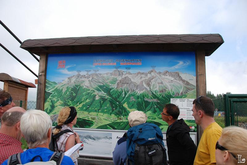 TorriVaiolet-002.JPG