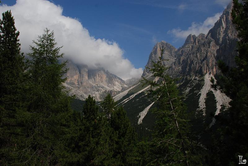 TorriVaiolet-005.JPG