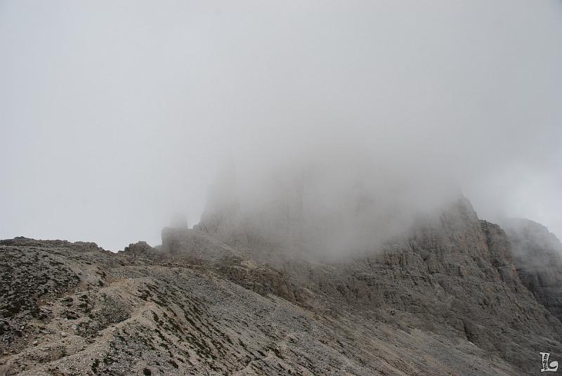 TorriVaiolet-048.JPG
