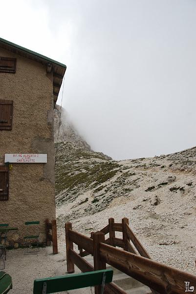 TorriVaiolet-049.JPG