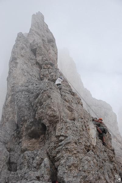 TorriVaiolet-078.JPG