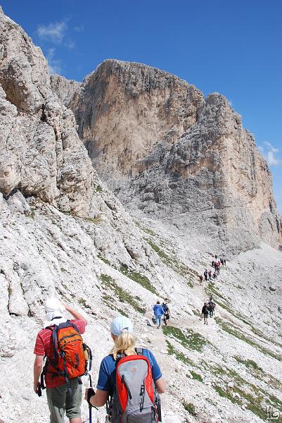 PaleDiSanMartino-049.JPG